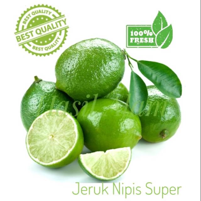 Detail Gambar Buah Jeruk Nipis Nomer 27