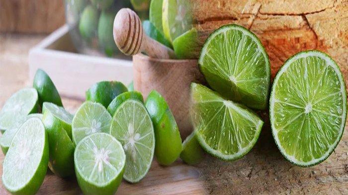 Detail Gambar Buah Jeruk Nipis Nomer 45