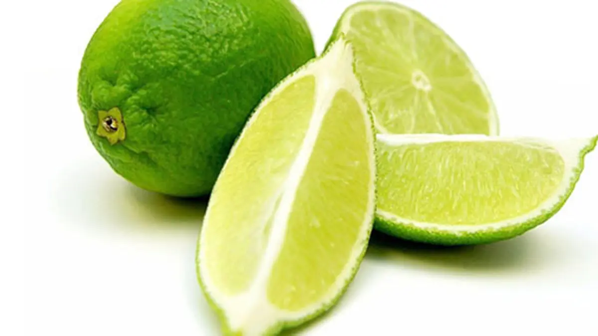 Detail Gambar Buah Jeruk Nipis Nomer 46