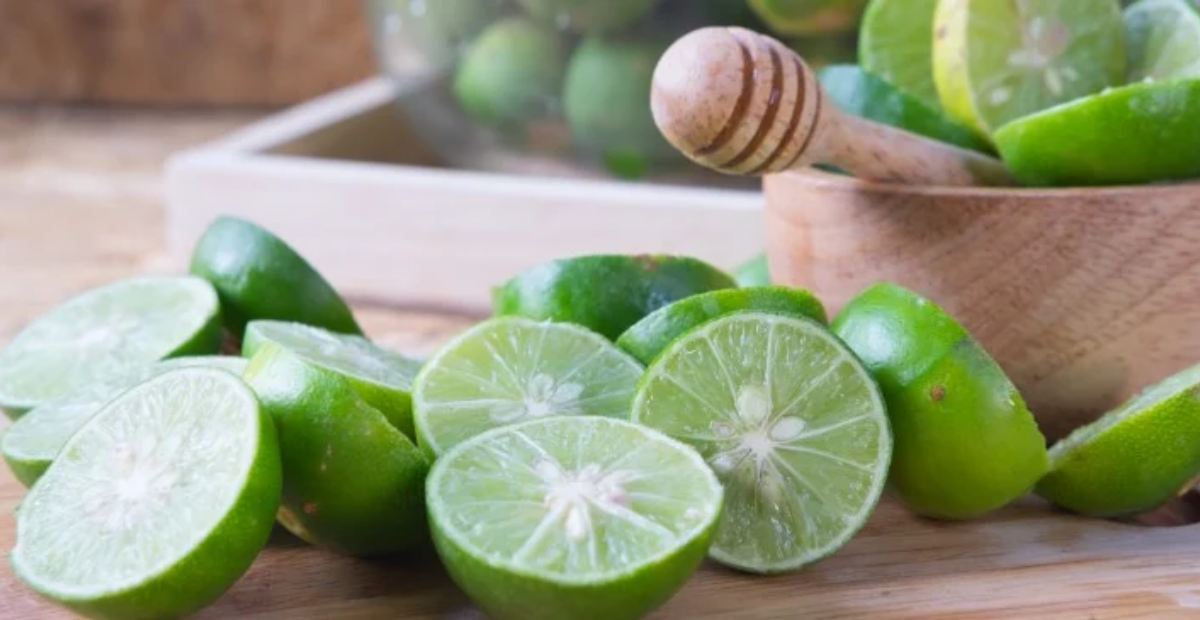 Detail Gambar Buah Jeruk Nipis Nomer 49