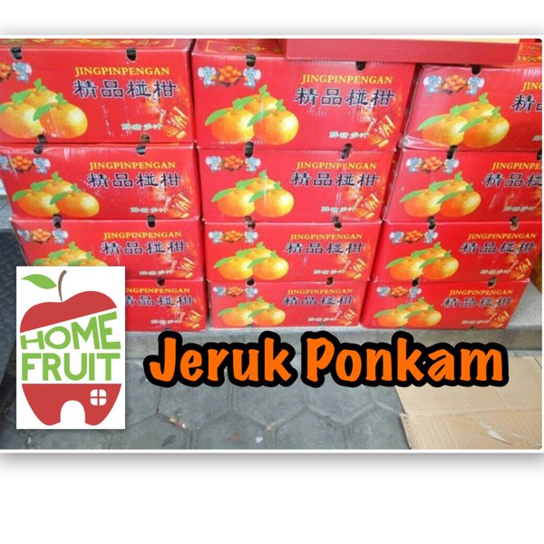 Detail Gambar Buah Jeruk Ponkam Nomer 27