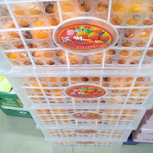 Detail Gambar Buah Jeruk Ponkam Nomer 35