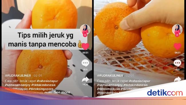 Detail Gambar Buah Jeruk Ponkam Nomer 40