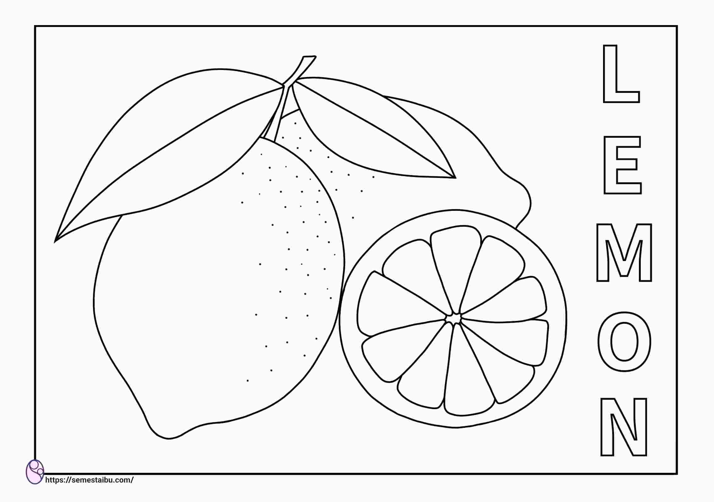 Detail Gambar Buah Jeruk Untuk Mewarnai Nomer 41