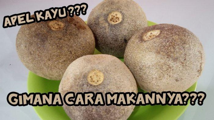 Detail Gambar Buah Kawista Nomer 11