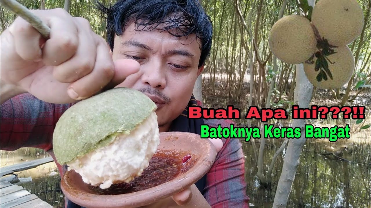 Detail Gambar Buah Kawista Nomer 19