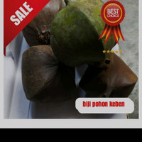 Detail Gambar Buah Keben Nomer 35