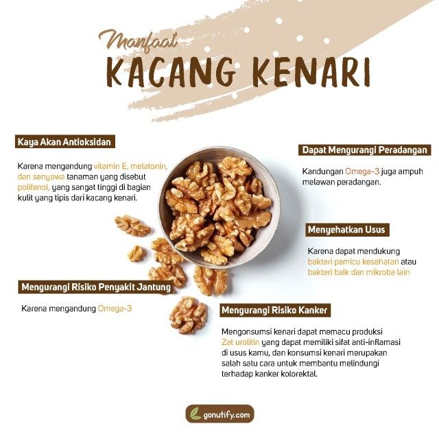 Detail Gambar Buah Kenari Nomer 30