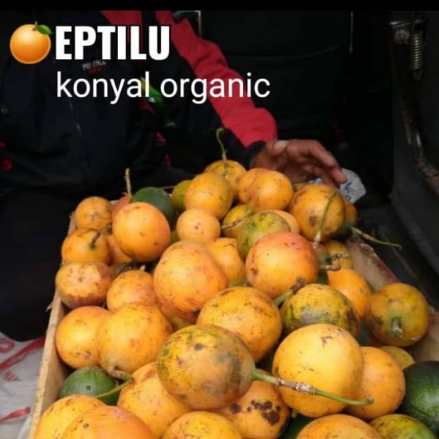 Detail Gambar Buah Konyal Nomer 22