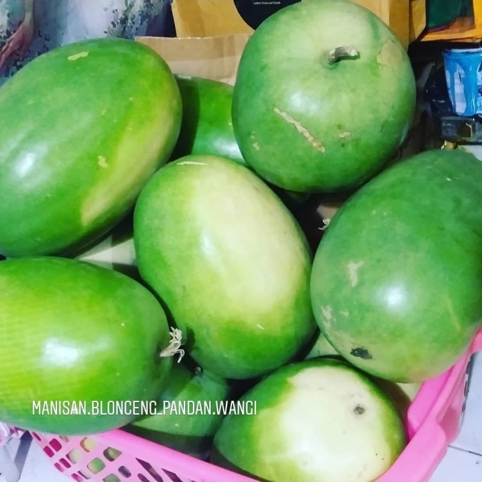 Detail Gambar Buah Kundur Nomer 39