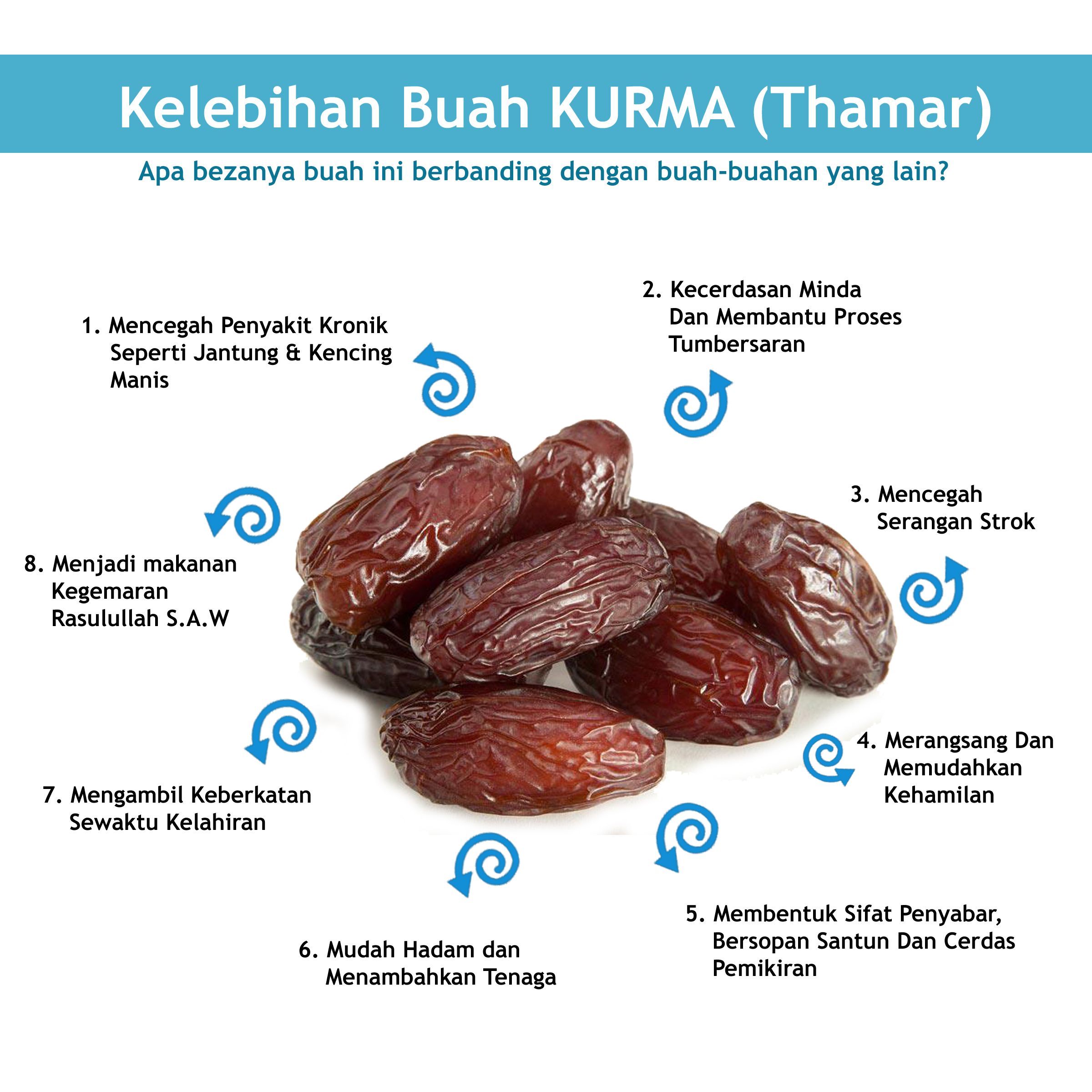 Detail Gambar Buah Kurma Nomer 22