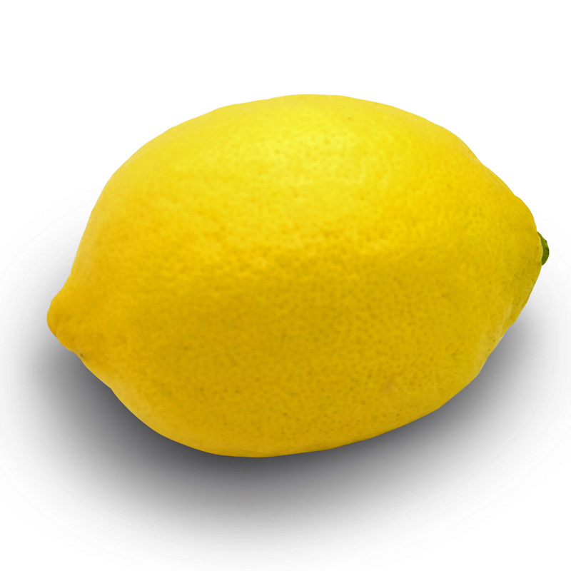 Detail Gambar Buah Lemon Nomer 18