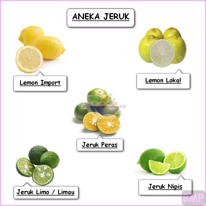 Detail Gambar Buah Lemon Dan Jeruk Nipis Nomer 27
