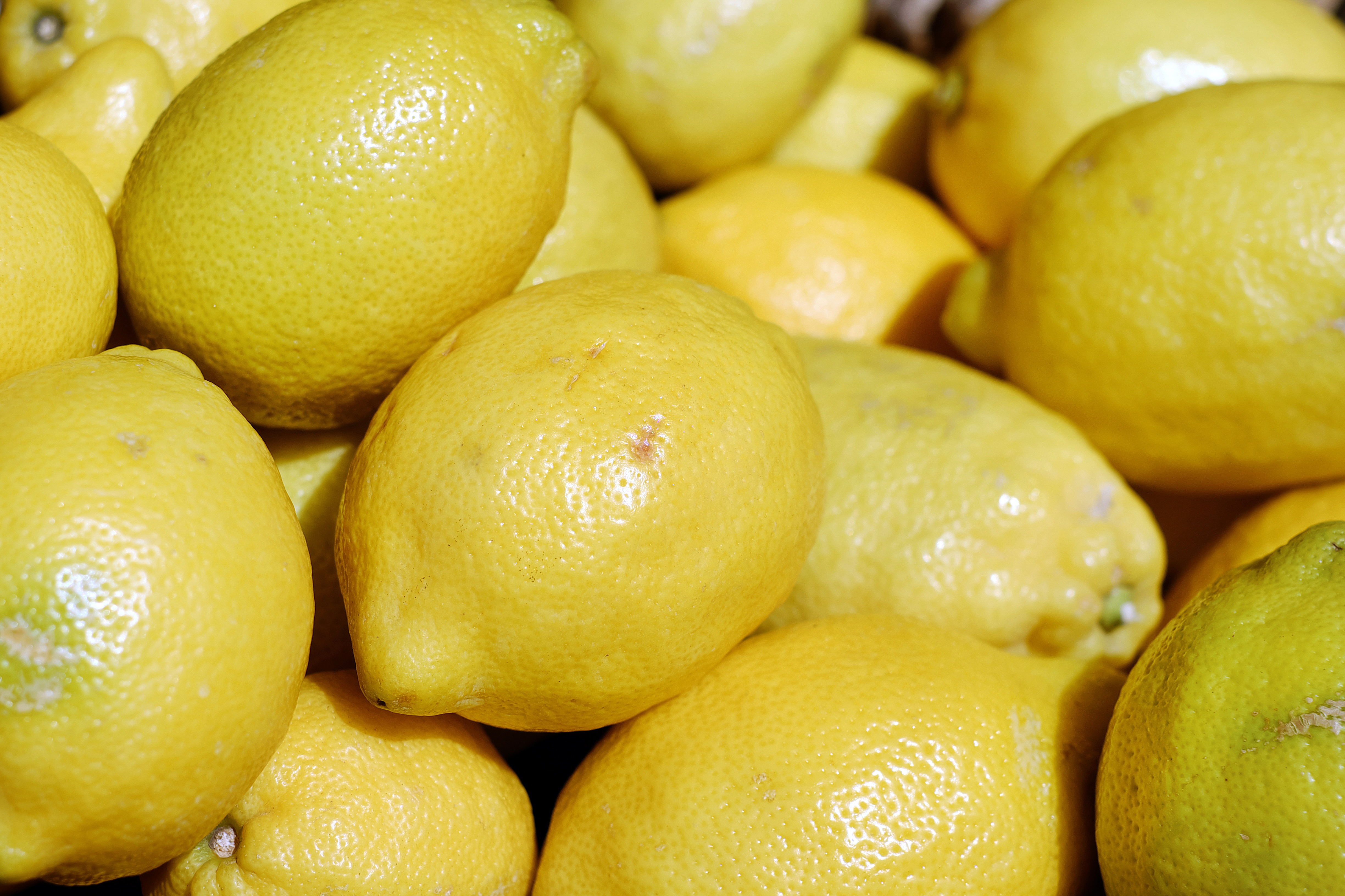 Detail Gambar Buah Lemon Dan Jeruk Nipis Nomer 28