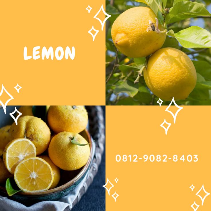 Detail Gambar Buah Lemon Dan Jeruk Nipis Nomer 38