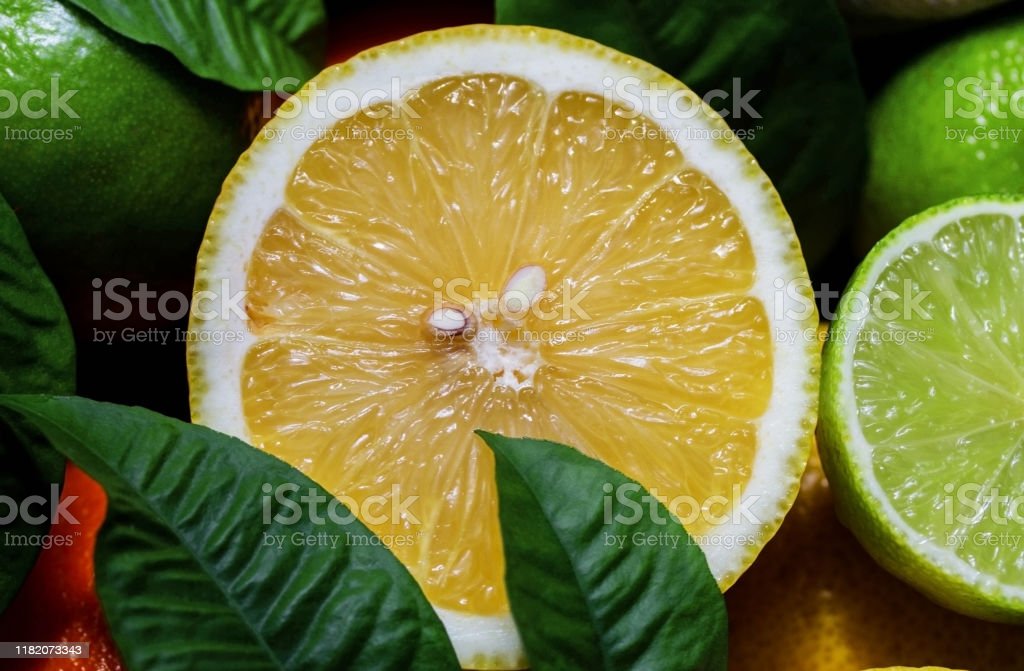 Detail Gambar Buah Lemon Dan Jeruk Nipis Nomer 41
