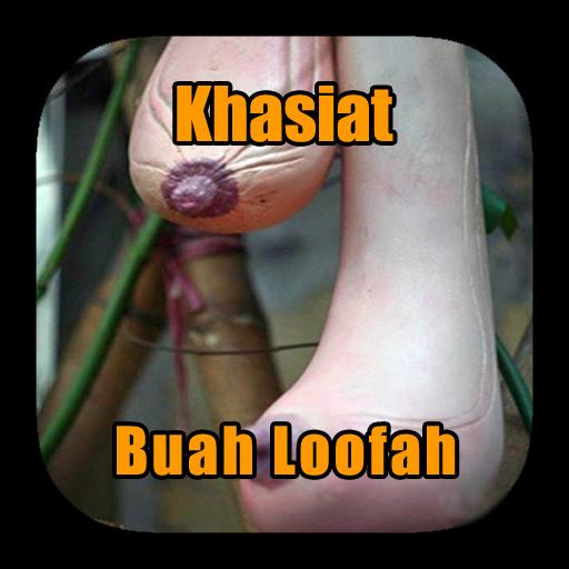 Detail Gambar Buah Loofah Nomer 38