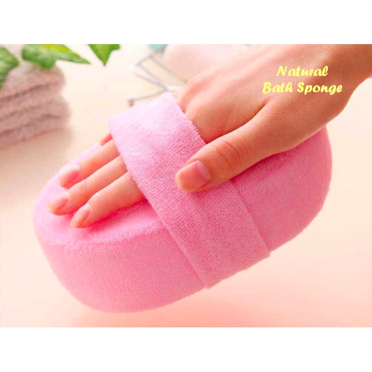 Detail Gambar Buah Loofah Nomer 49