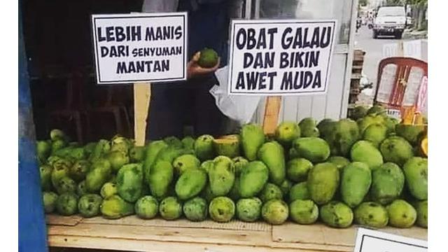 Detail Gambar Buah Lucu Bikin Ngakak Nomer 23