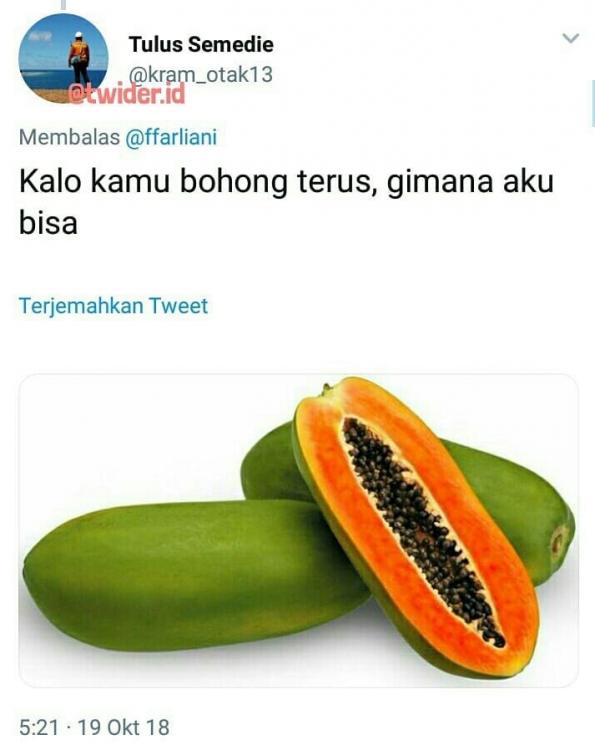 Detail Gambar Buah Lucu Bikin Ngakak Nomer 34