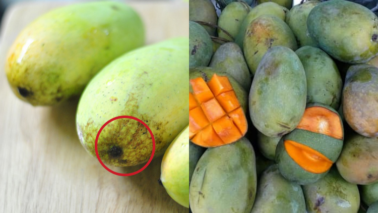 Detail Gambar Buah Mangga Segar Nomer 21