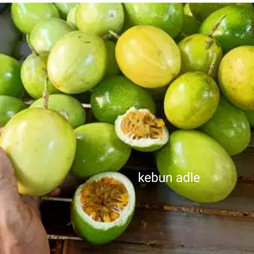 Detail Gambar Buah Markisa Nomer 30