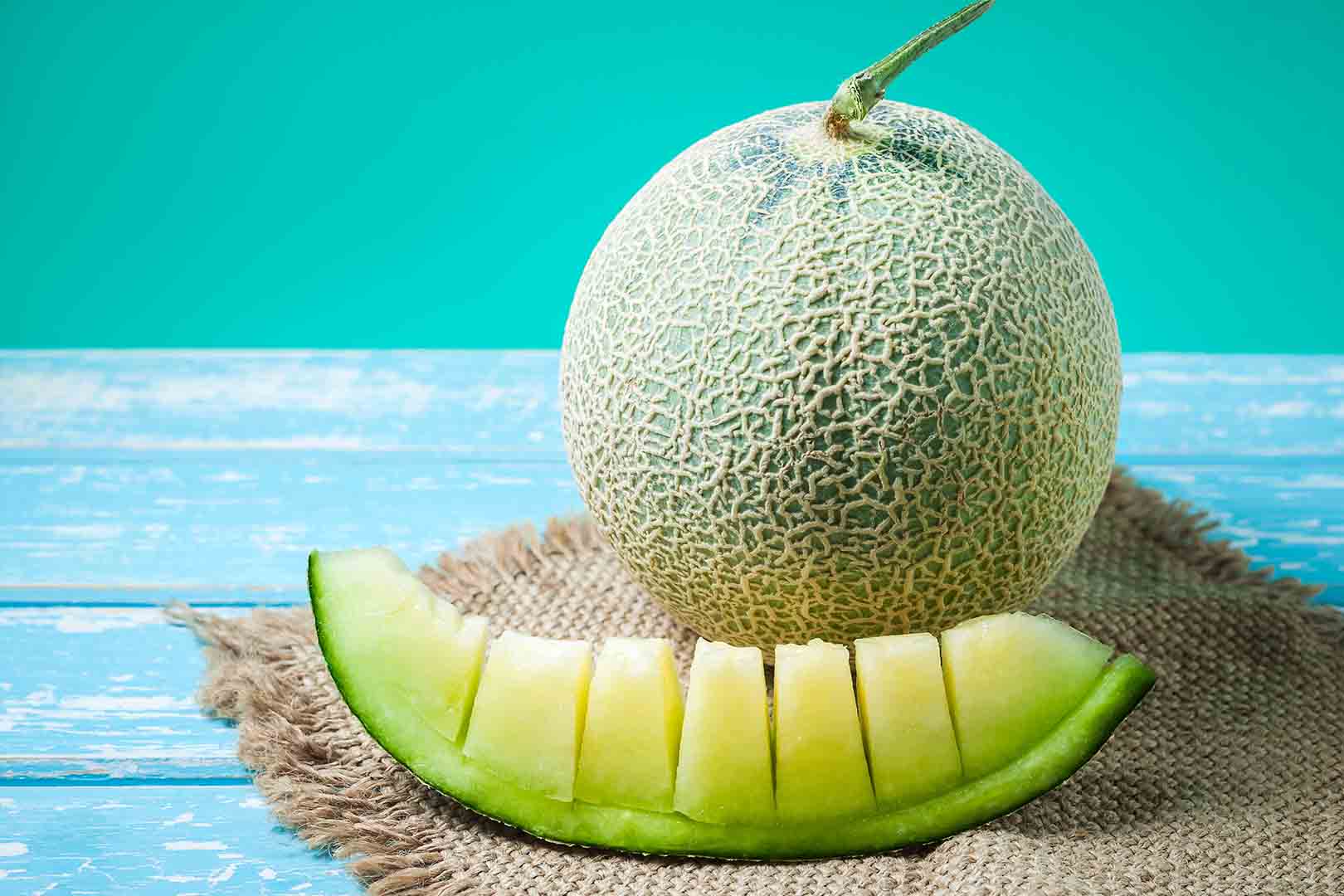 Detail Gambar Buah Melon Nomer 23