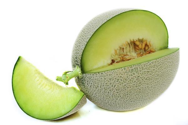 Detail Gambar Buah Melon Nomer 24