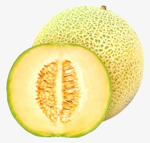 Detail Gambar Buah Melon Nomer 25