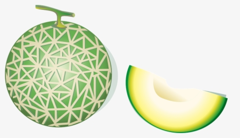 Detail Gambar Buah Melon Nomer 42