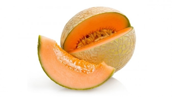 Detail Gambar Buah Melon Nomer 44