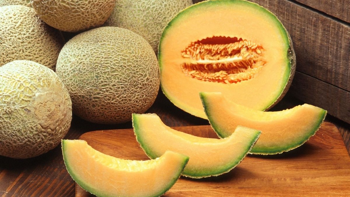 Detail Gambar Buah Melon Nomer 52