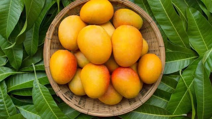 Detail Gambar Buah Mengandung Yang Bervitamin E Nomer 24