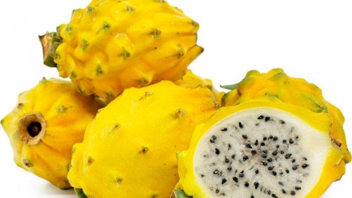 Download Gambar Buah Naga Kuning Nomer 4