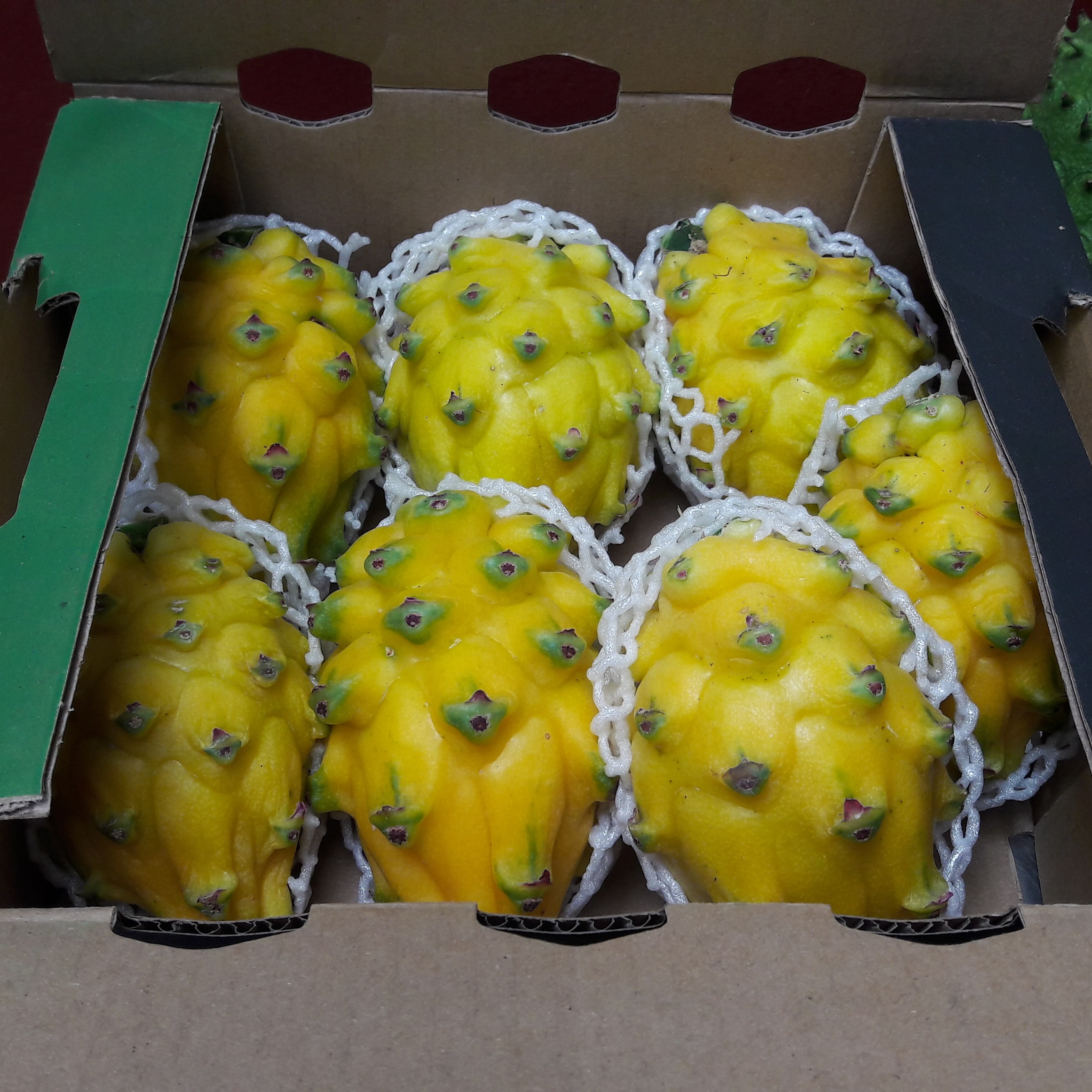 Download Gambar Buah Naga Kuning Nomer 52