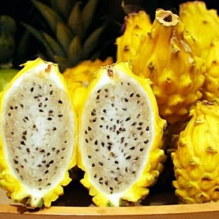 Detail Gambar Buah Naga Kuning Nomer 10