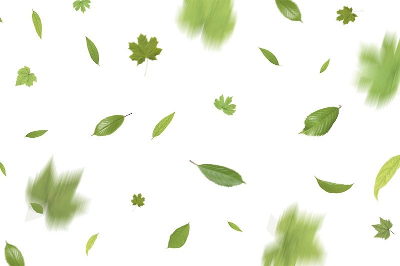 Detail Leaf Overlay Nomer 9