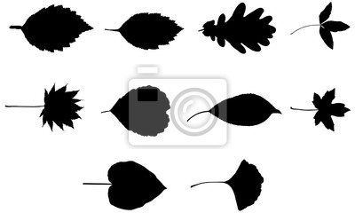 Detail Leaf Overlay Nomer 10