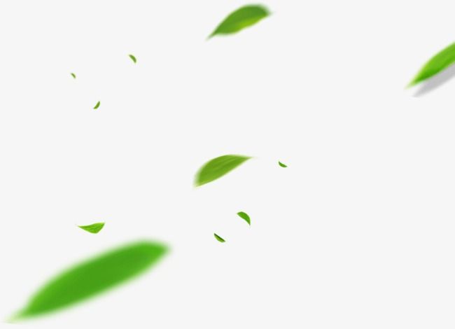 Detail Leaf Overlay Nomer 11