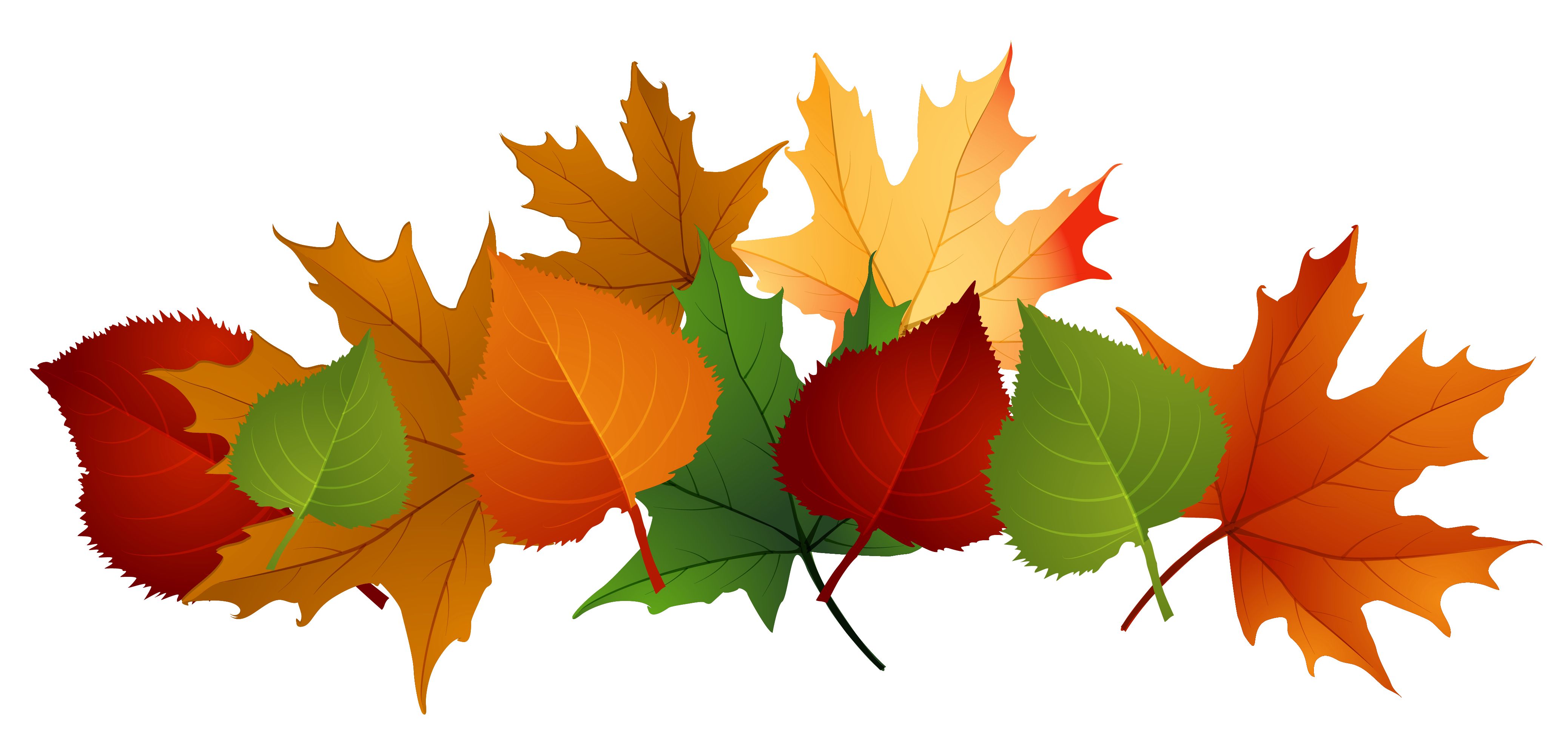 Detail Leaf Overlay Nomer 16