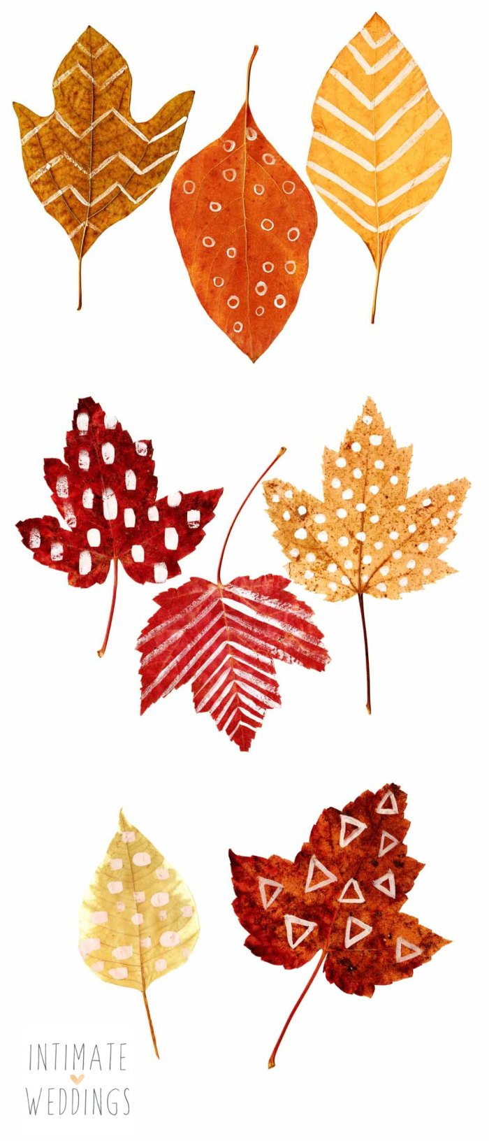 Detail Leaf Overlay Nomer 19