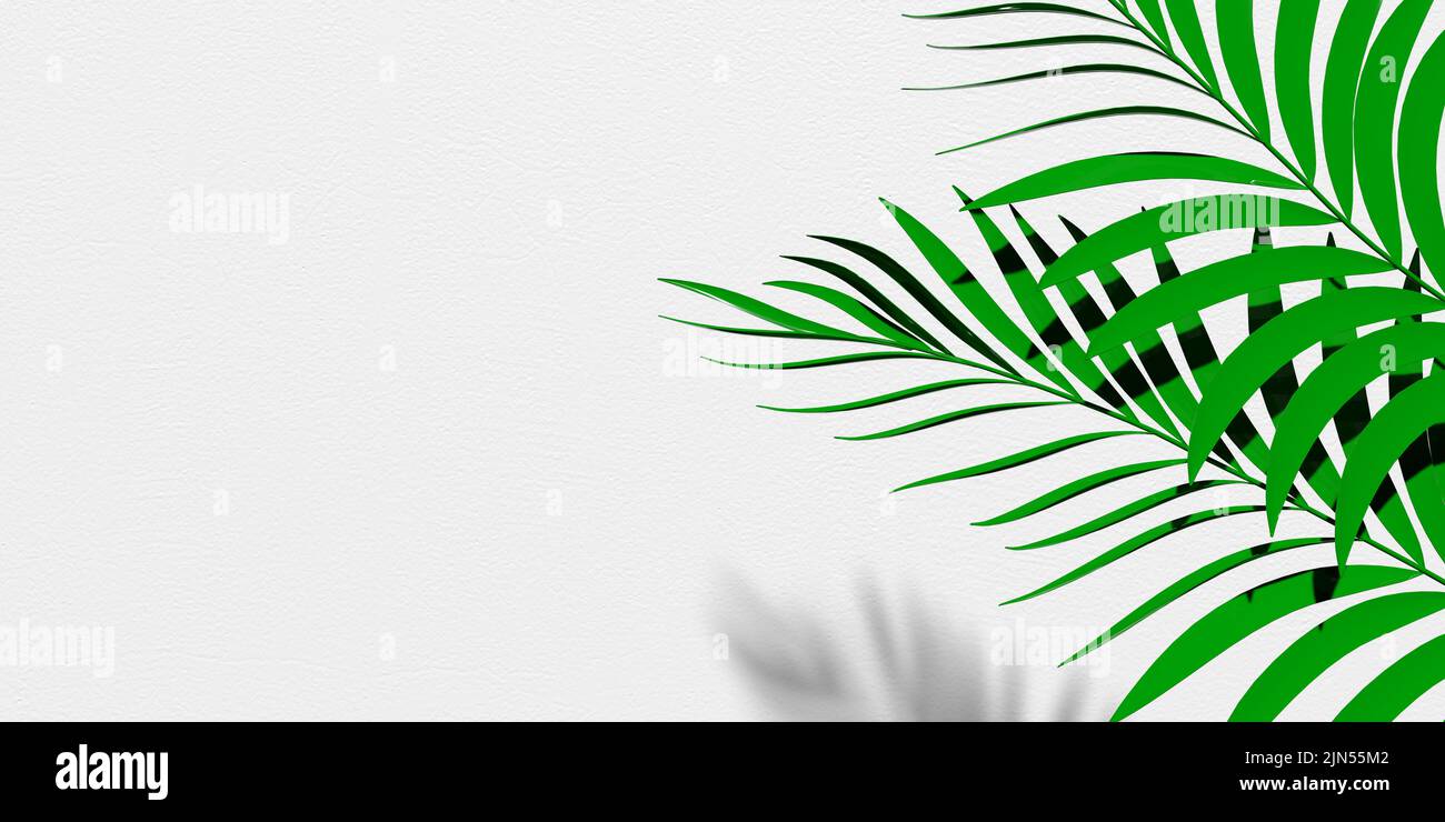 Detail Leaf Overlay Nomer 20