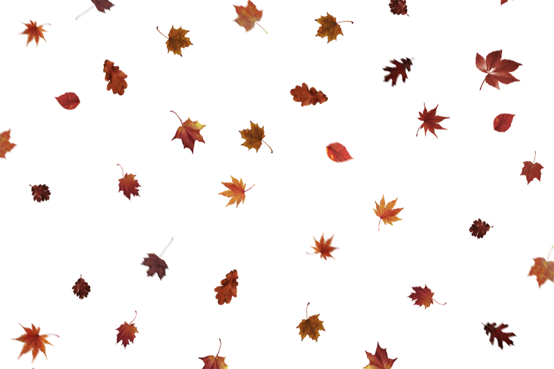 Detail Leaf Overlay Nomer 21
