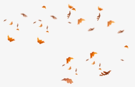 Detail Leaf Overlay Nomer 3