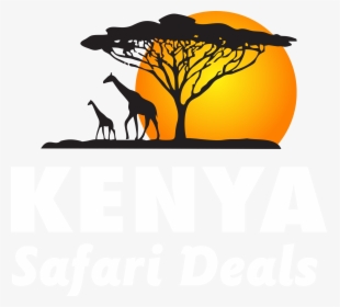 Safari Kenia Bilder - KibrisPDR