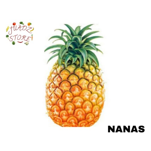 Detail Gambar Buah Nanas Nomer 19