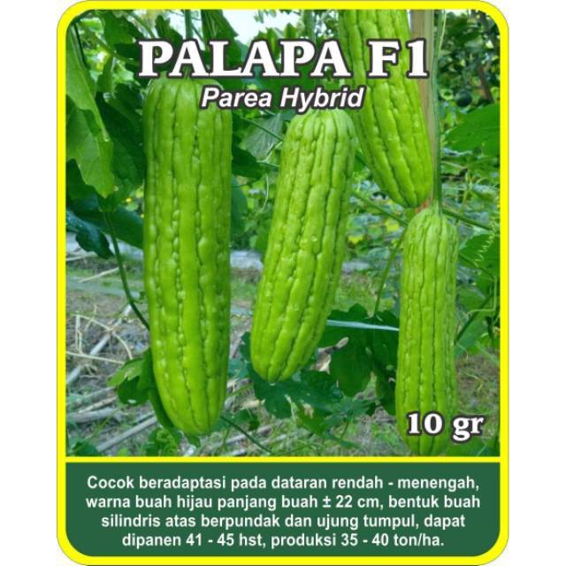 Detail Gambar Buah Palapa Nomer 32