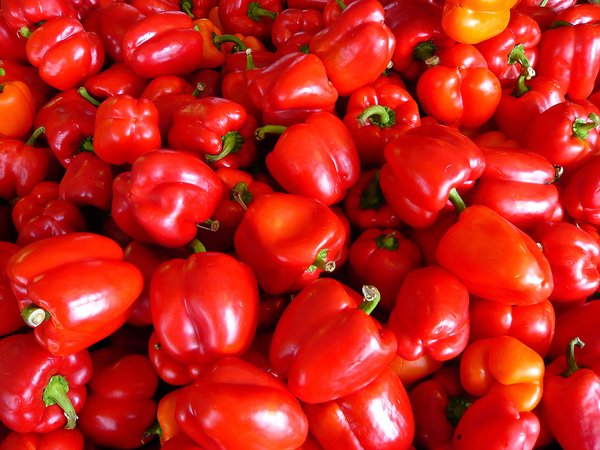 Detail Gambar Buah Paprika Nomer 16