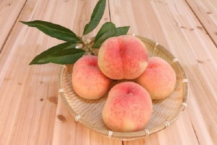 Detail Gambar Buah Peach Nomer 9