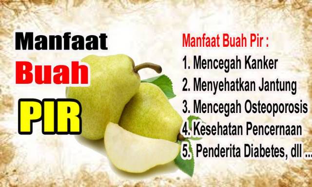 Detail Gambar Buah Pear Madu Nomer 31